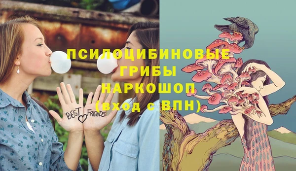 синтетический гашиш Вязьма