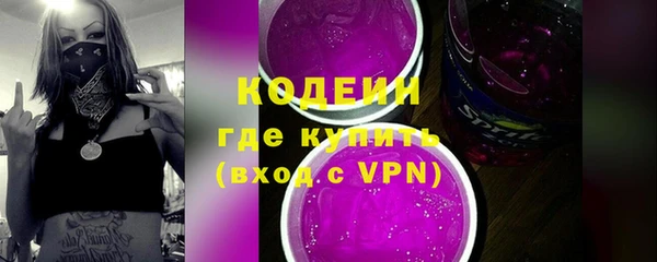 прущий лед Вяземский