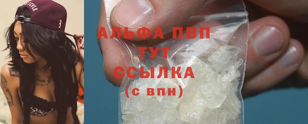 прущий лед Вяземский