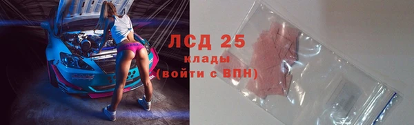 прущий лед Вяземский