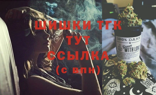прущий лед Вяземский