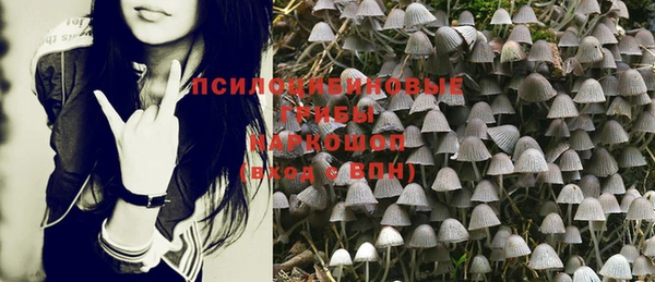 прущий лед Вяземский