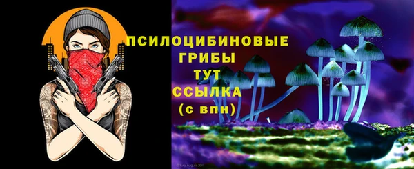 синтетический гашиш Вязьма