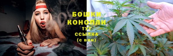 прущий лед Вяземский