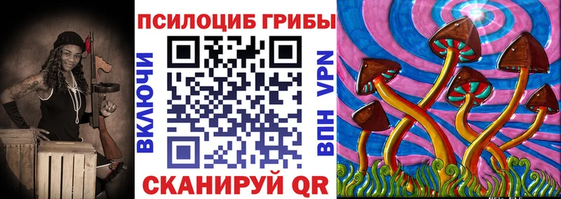 Псилоцибиновые грибы MAGIC MUSHROOMS  Купить где  Сальск 